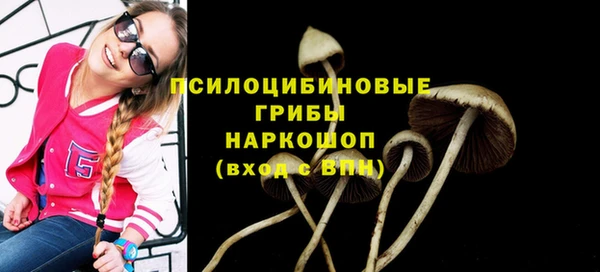 ГАЛЛЮЦИНОГЕННЫЕ ГРИБЫ Лагань