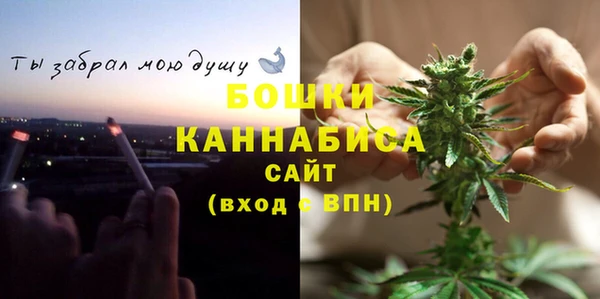 ГАЛЛЮЦИНОГЕННЫЕ ГРИБЫ Лагань