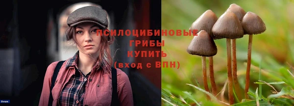 a pvp Арсеньев