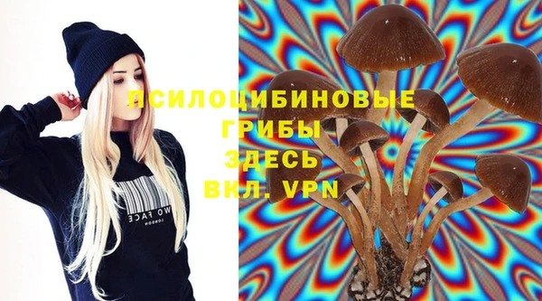 ГАЛЛЮЦИНОГЕННЫЕ ГРИБЫ Лагань